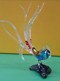 Swarovski 5718276 SCS AE 2026 Lady Amherst ZYQ 037