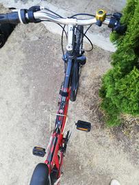 mountain bike city