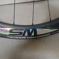 Ruote SpaceCarbon con mozzo DT240 