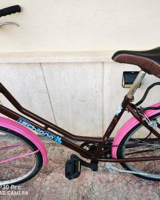 Bici schiano
