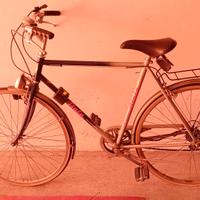 bicicletta uomo