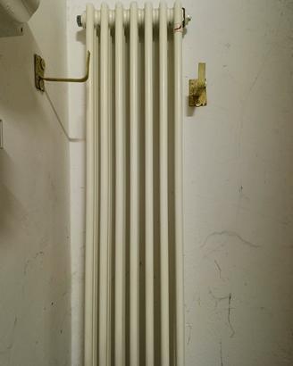 Termosifone in acciaio 