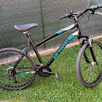 Mountain Bike Rock Rider ruote 26