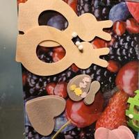 Fustellati in feltro da assemblare