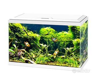 Acquario 
