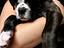 Immagine 4