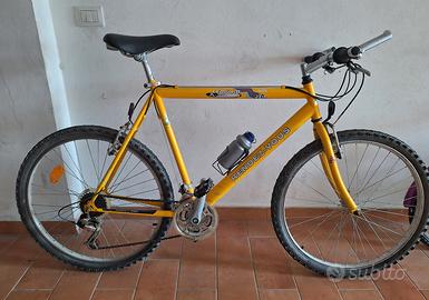 biciclette
