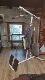 lat machine pulley ercolina