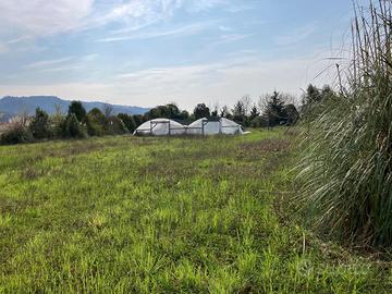 Terreno Capezzano Pianore