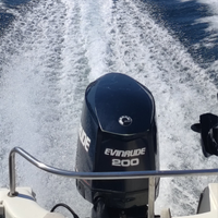 Evinrude E-tec 200 anno 2006