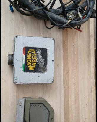 centralina e dashboard magneti marelli