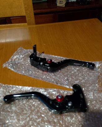 Leve corte rizoma Triumph street triple 