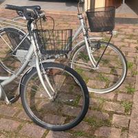 Coppia di biciclette