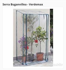 Serra per piante a parete