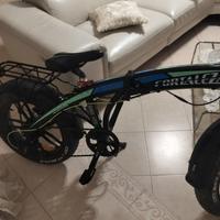 Bicicletta elettrica