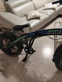 Bicicletta elettrica