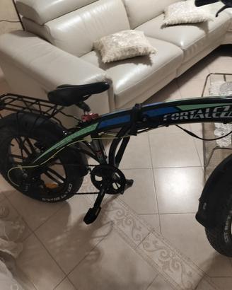 Bicicletta elettrica