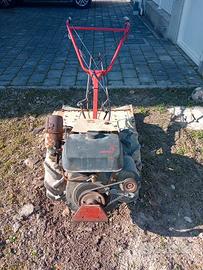 MOTOCOLTIVATORE PASQUALI CON ASSOLCATORE