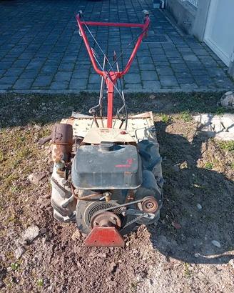MOTOCOLTIVATORE PASQUALI CON ASSOLCATORE