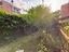 Immagine 19