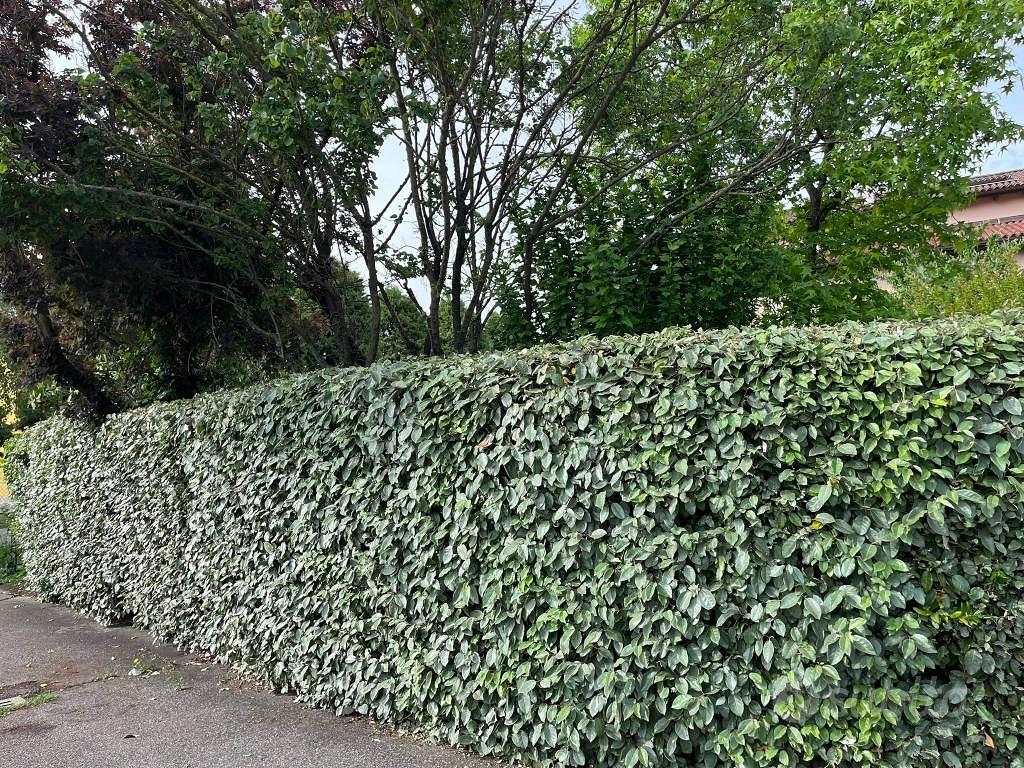 Appartamento – BO - Vista 4