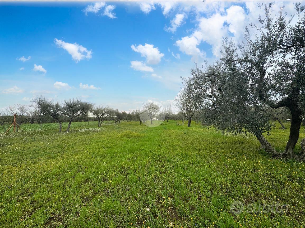 TER. AGRICOLO A LUCERA - Vista 5