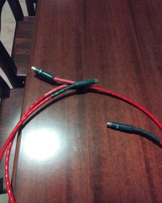 cavi nordost rca hamdal 1m