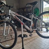 Mountain Bike Ragazza