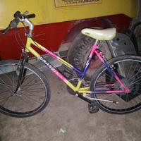 bicicletta da donna