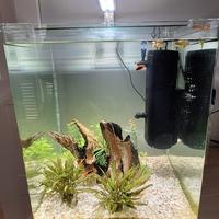 Acquario Amtra Nanotank 60 Lt + Askoll Fluval U3