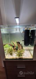 Acquario Amtra Nanotank 60 Lt + Askoll Fluval U3