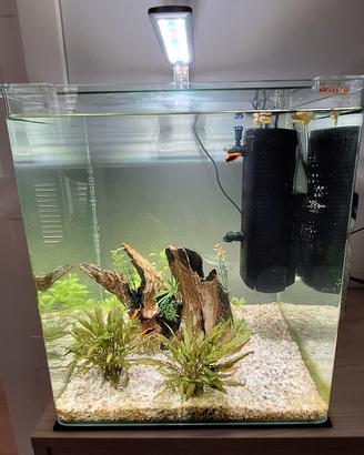 Acquario Amtra Nanotank 60 Lt + Askoll Fluval U3
