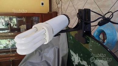 Lampada con pinza