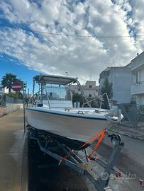 Wellcraft 6,5 mercruiser 225cv