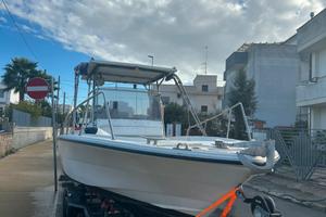 Wellcraft 6,5 mercruiser 225cv