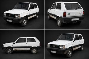 panda 4x4 trekking
