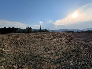 Terreno 33.000mq