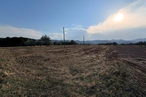 Terreno 33.000mq