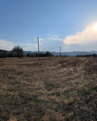 Terreno 33.000mq