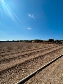 Terreno con progetto approvato a Mari Ermi