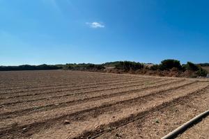 Terreno con progetto approvato a Mari Ermi