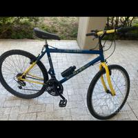 Bicicletta uomo donna bici