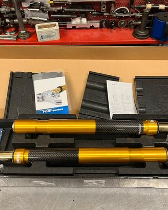 Forcella Ohlins Bmw S1000RR M1000RR