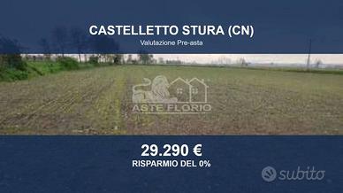 Immobile in asta di 15272 m² a Castelletto Stura