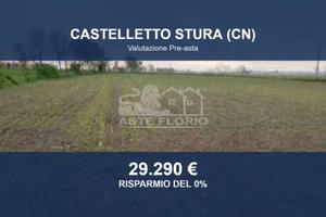 Immobile in asta di 15272 m² a Castelletto Stura