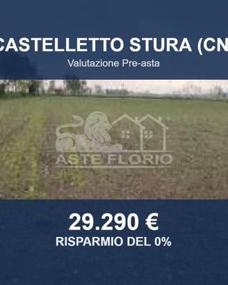 Immobile in asta di 15272 m² a Castelletto Stura