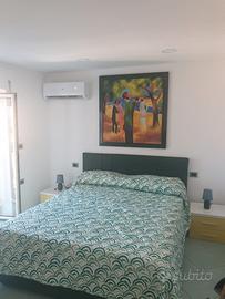 Le Casette Di Vittorio:la VERDE- Pizzo (VV)