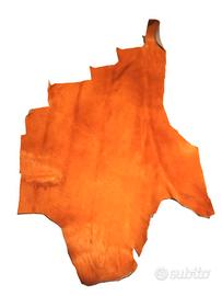 PELLE DI CAVALLINO CON PELO COLORE ARANCIO