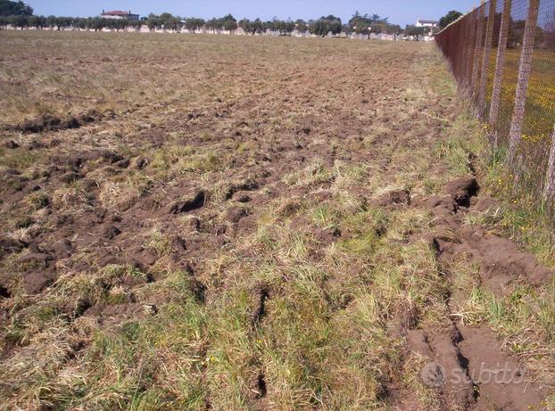 Terreno agricolo zona aprilia