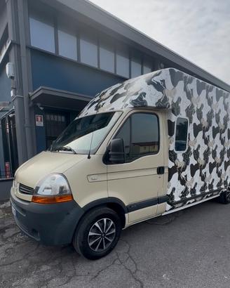 Renault master trasporto cavalli patente B